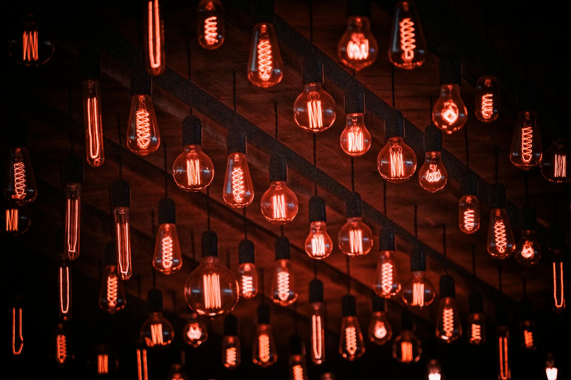 light bulbs with red light hanging under ceiling